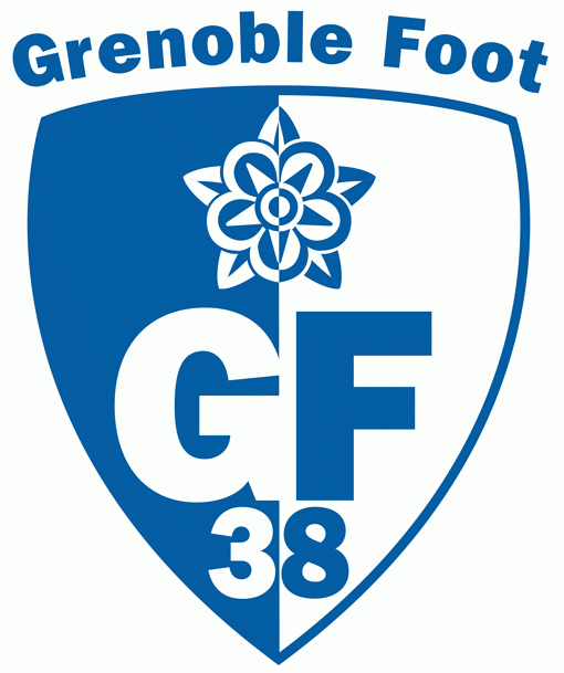 grenoble foot 38 pres primary logo DTF transfer for t shirt